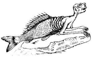 atargatis siren rusalka mermaid