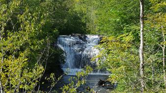 waterfall by the river in the forest