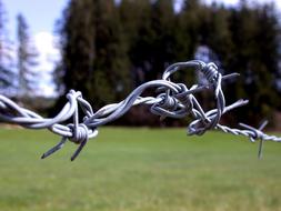 iron barbed wire