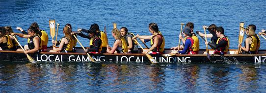 Dragon Boat Race New Zealand