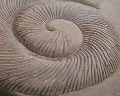 sand spiral pattern