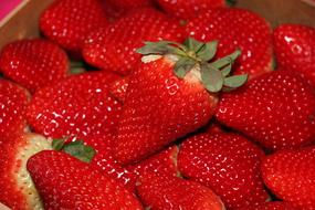 Strawberry Fruit