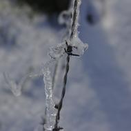 Barbed Wire Covered In Ice Winter