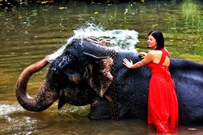 Elephant Woman
