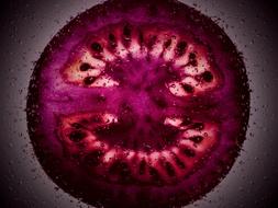 Close up of a slice of tomato