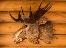 stuffed deer head on a wooden wall