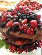 Chocolate Cake Pastry Red Currant