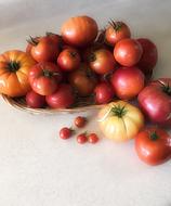 Tasty tomatoes on the table