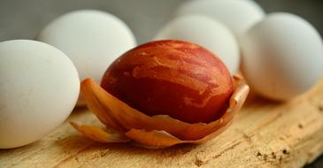 Egg Easter Onion Skins Dye