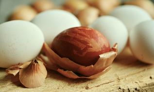 Egg Easter Onion Skins Dye