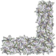 flowers png corner clipping scrap