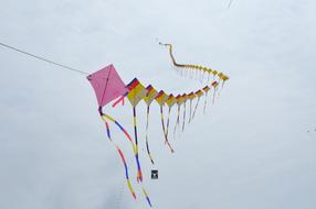 Kite Sky Feast New Year'S