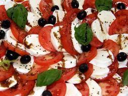 fresh tomatoes with mozzarella