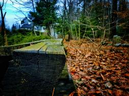 bench by the autumn leaves