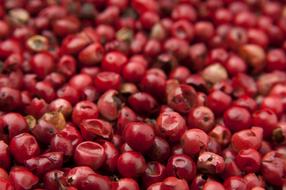 red berries aromatic