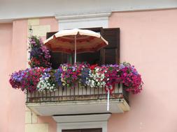 colorful flowers on the balcony of the old house