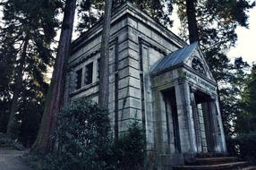 Crypt Cemetery Death