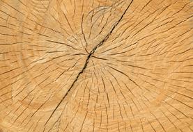 Wood Cracks Structure background