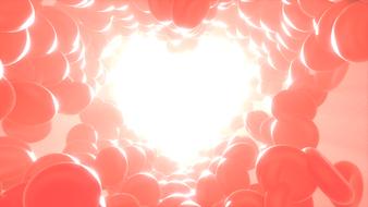 heart red blood cells