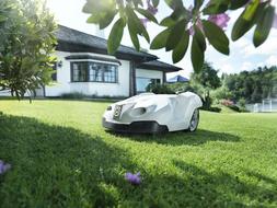Garden Shop Home