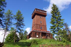 wooden tower in the forest