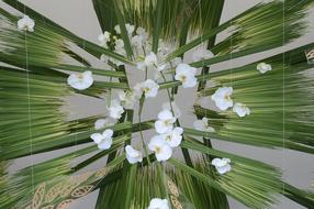 Beautiful white flowers on a background of leaves