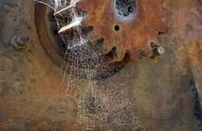 Cobweb Spider Webs Rust