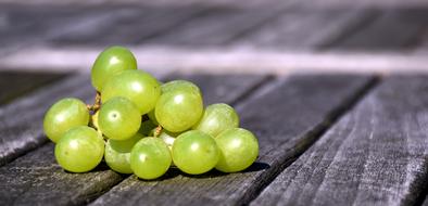 juicy grapes on the table
