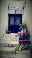 splendid Door Old