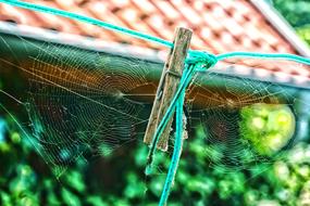 Spider Webs Clothes Peg Time