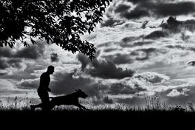 Running Dog Man And