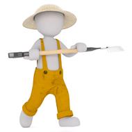 males 3d model isolated 3d model