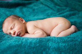 Newborn Infant