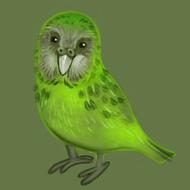 painted green kakapo