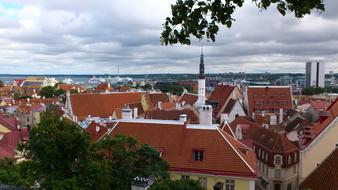 Tallinn City Harbour