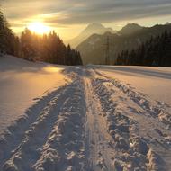 Winter Mountains Alpine