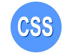 css web development programming