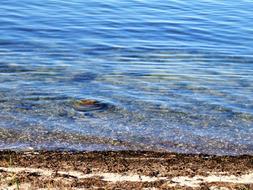 Sea Lake Water
