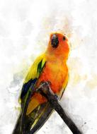 parrot on a branch as an illustration
