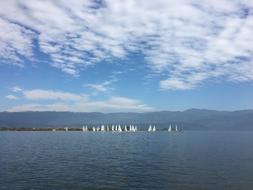 Lake White Sails The Water Blue