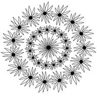 flowers mandala as a drawing