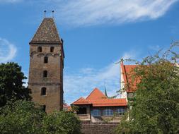 Beautiful Goose Tower, among the colorful buildings and green trees, in Ulm, Germany, under the blue sky with white clouds