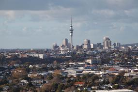 Auckland City