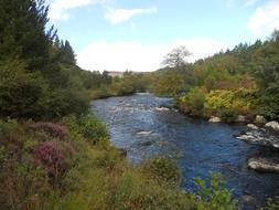 Scottish River Fishing