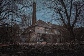 Houses Abandoned tree