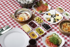 tasty picnic food