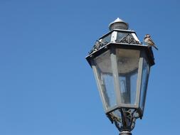 Light Bird Italy