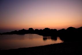 tree silhouettes of the island