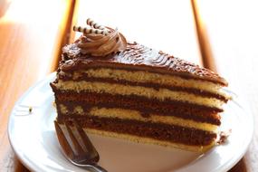 sweet delicious chocolate cake piece