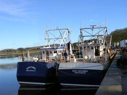 fabulous Fishing Harbour Blue